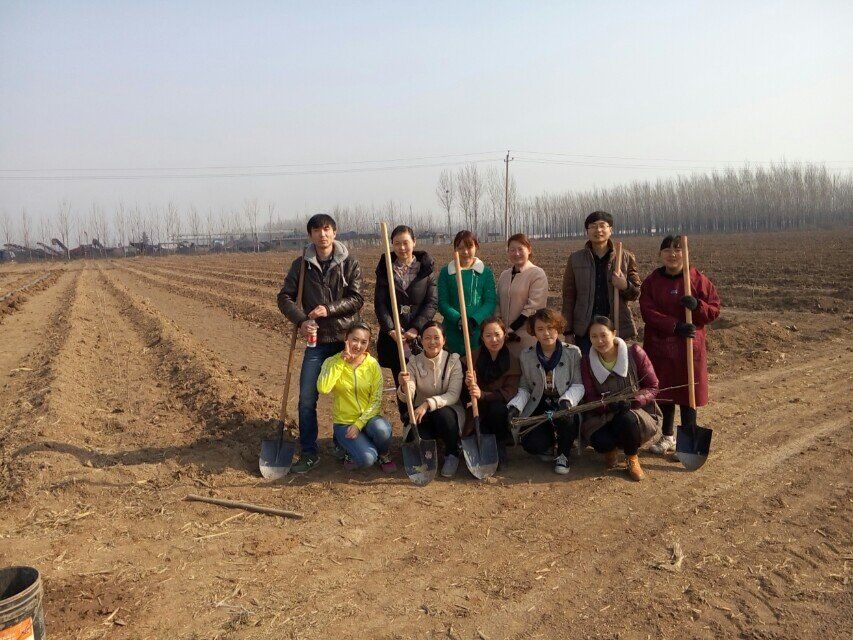 博農(nóng)集團(tuán)領(lǐng)導(dǎo)、基層黨政負(fù)責(zé)人等同志積極參加植樹(shù)活動(dòng)